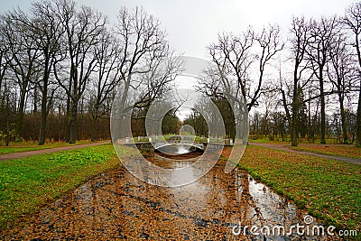 A rainy October morning and a walk in the Alexander Park Editorial Stock Photo