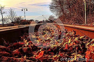 Rairoad Track filled with Autumn Leaves Stock Photo