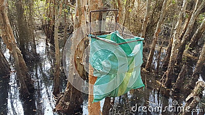 Raise awareness of environmental protection in forest with simple trash bins Stock Photo