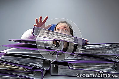 Raised hands of a person who sinks behind stacks of ring binders on an office desk. concept of excessive demands and increasing Stock Photo