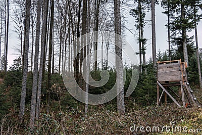 Raised hide in the middle of the forest Stock Photo