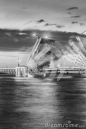 The raised Palace bridge at white nights , black-and-white image Vector Illustration