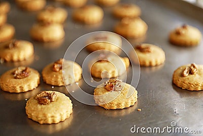 Raisin on cookies biscuit cracker pancake baked bums on baking tray sweet treats desserts high calorie food popular refreshment Stock Photo