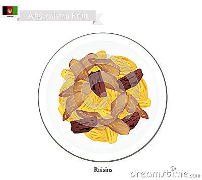 Raisins or Dried Grape, The Popular Snack in Afghanistan Vector Illustration