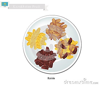 Raisins or Dried Grape, The Popular Snack in Kazakhstan Vector Illustration