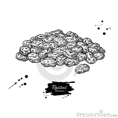 Raisins vector drawing. Dried grape heap. Hand drawn dehydrated fruit illustration. Vector Illustration