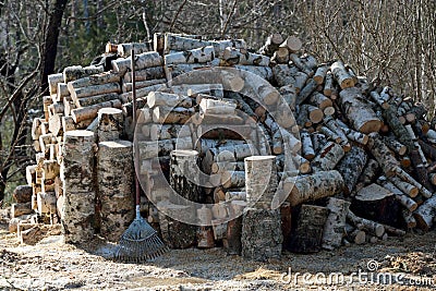 A rake leaning on a big pile of logs Stock Photo