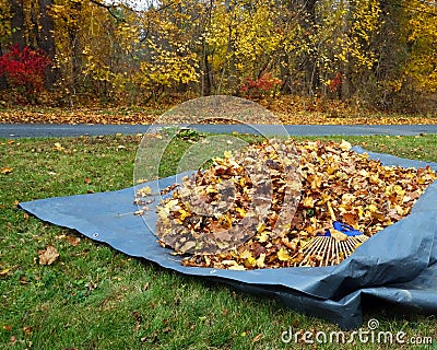 Raked up leafs Stock Photo