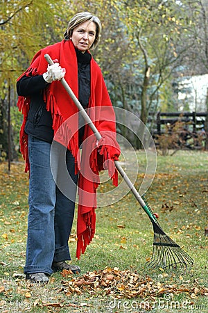 Raking Stock Photo