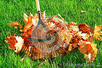 Raking the autumn leaves Stock Photo
