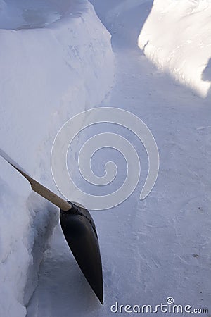 Raking away the snow in the garden. The shovel stands at a high snowdrift. There is a lot of snow in the garden in winter. Stock Photo