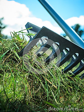 Person raking leaves Stock Photo