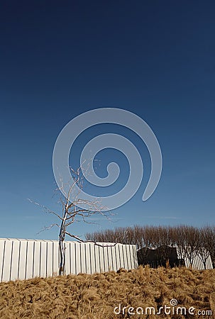 RALEIGH,NC/USA - 1-11-2019: View of the exterior of the North Carolina Museum of Art and sculpture garden in Raleigh NC Editorial Stock Photo