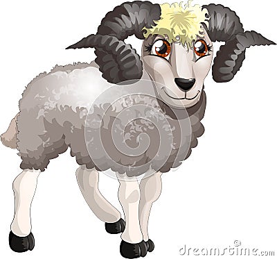 Ram Stock Photo