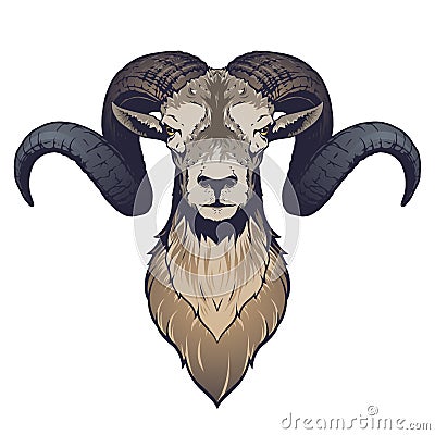 Ram head illustration Cartoon Illustration