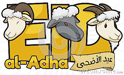 Ram, Sheep, Goat and Scroll Promoting Eid al-Adha Festival, Vector Illustration Vector Illustration