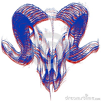 Ram Skull 3D Vector Illustration