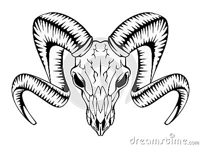 Ram skull Vector Illustration