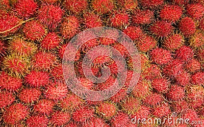 Rambutan fruit Stock Photo