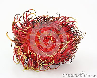 Rambutan fruit Stock Photo