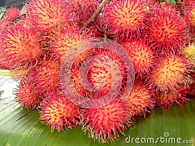 Rambutan fruit Stock Photo