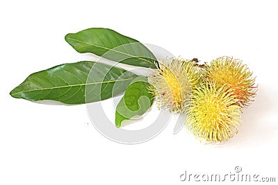 Rambutan fruit Stock Photo