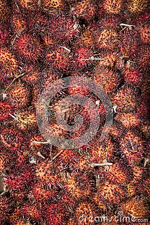 Rambutan fruits Stock Photo