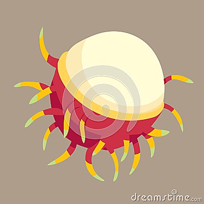 Rambutan vector illustration. Sweet delicious fruit. Vector Illustration