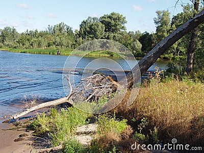 Rampike, Volga river bank Stock Photo