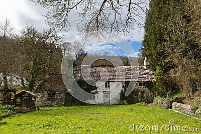 Ramshackle derelict rural cottage overgrown with plants and moss and left abandoned Stock Photo