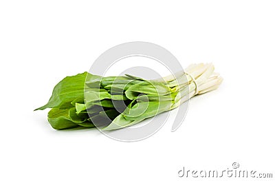 Ramson bunch vegetable Stock Photo