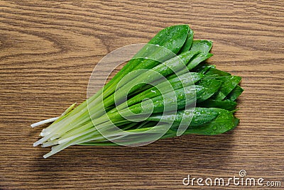 Ramson bunch on wooden background. Bear garlic. Stock Photo