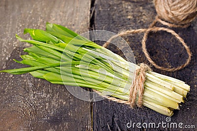 Ramson bunch Stock Photo