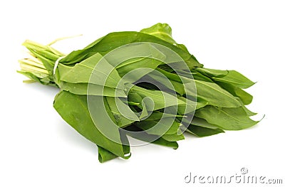 Ramson leaves Stock Photo