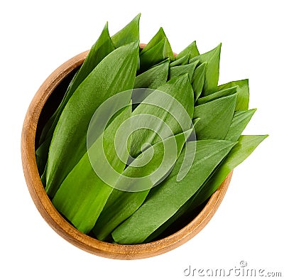 Ramsons, Allium ursinum in wooden bowl Stock Photo