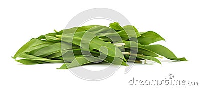 Ramsons leaves Stock Photo