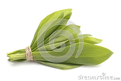 Ramsons leaves, wild garlic leaves isolated on white background. Stock Photo