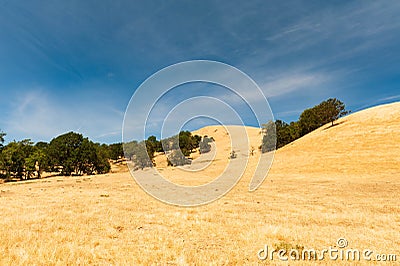 Ranch in Glide, Oregon Stock Photo