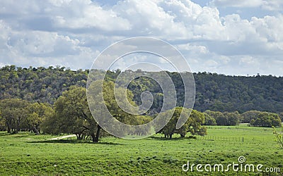 Ranch pasture in the Texas Hill Country on a sunny afternoon Stock Photo