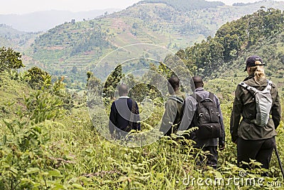 Ranger and tourist in Bwindi National Park, mountain gorilla trekking. Woman walking behind Ranger on trekking path. Editorial Stock Photo