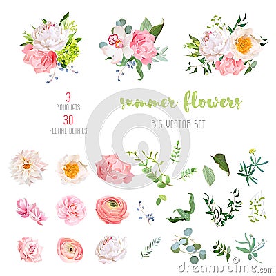 Ranunculus, rose, peony, dahlia, camellia, carnation, orchid, hydrangea flowers and decorative plants big vector collection Vector Illustration