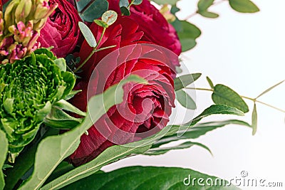 Ranunkulyus bouquet of red flowers on a white background Stock Photo