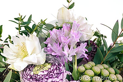 Ranunkulyus bouquet of red flowers on a white background Stock Photo