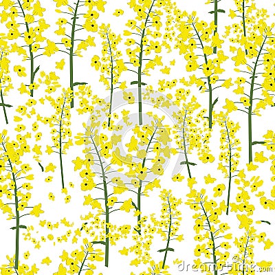 canola flower seamless vector Vector Illustration