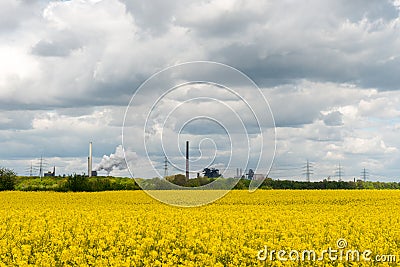 field against industrial backdrop Stock Photo