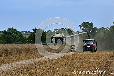 Rape Seed Oil Field Being Harvested Editorial Stock Photo