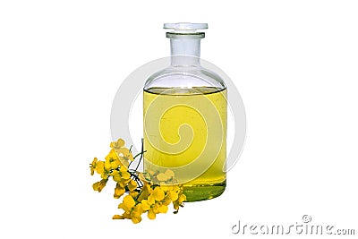 seed oil Stock Photo