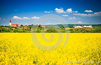 Rapeseed field, Feldioara fortress, Romania Stock Photo