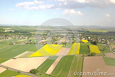 Rapeseed fields from the height of bird flight. Shooting from the drone or aircraft. Agricultural business. Growing oil plants for Stock Photo
