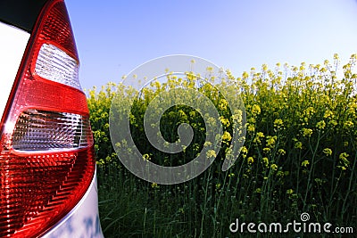 Rapeseed in germany 08 Stock Photo